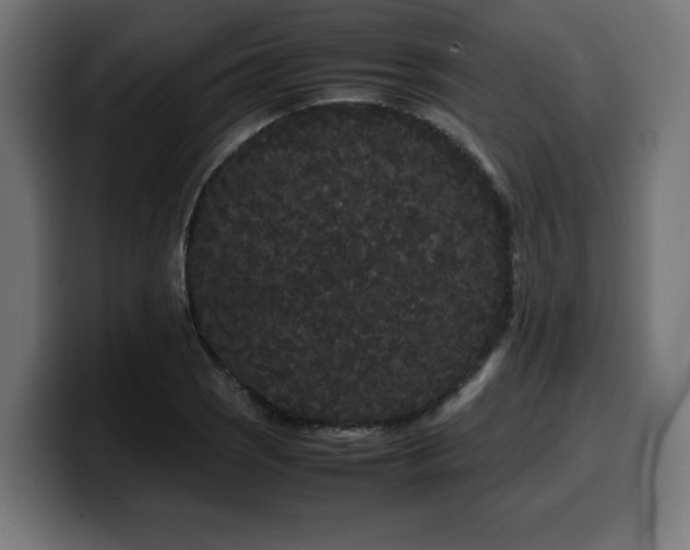 X0000100491121200806131244