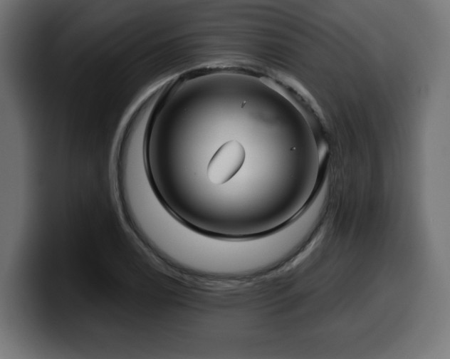X0000100491122200806131244