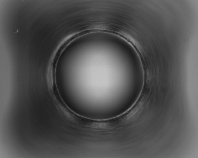 X0000100491123200806131244
