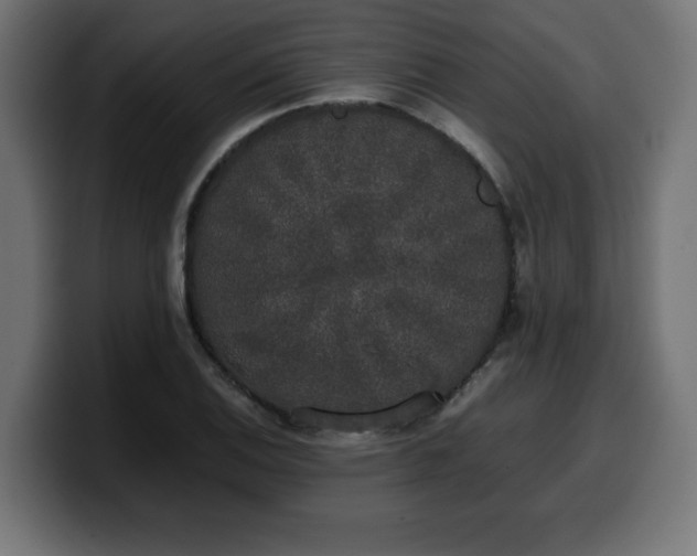 X0000100491124200806131244