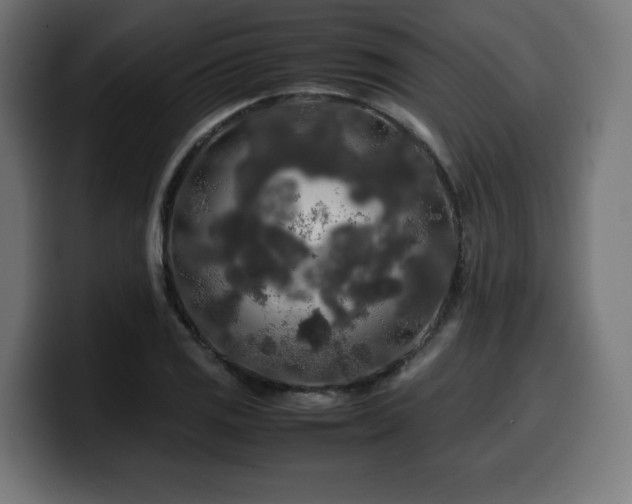 X0000100491125200806131244