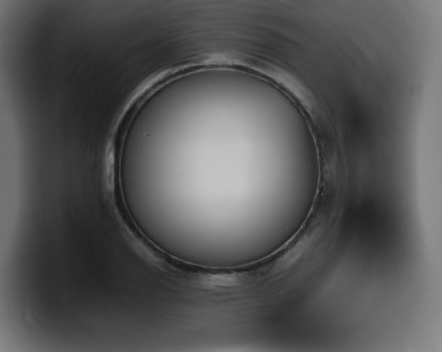 X0000100491126200806131244