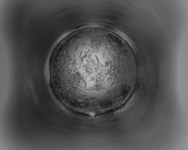 X0000100491127200806131244