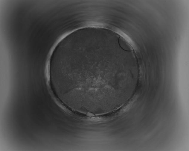 X0000100491128200806131244