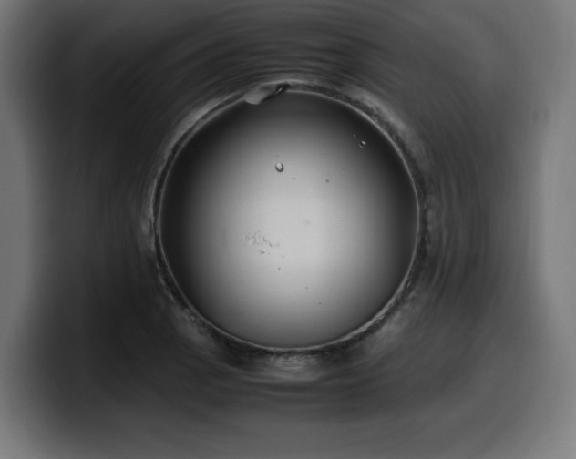 X0000100491129200806131244