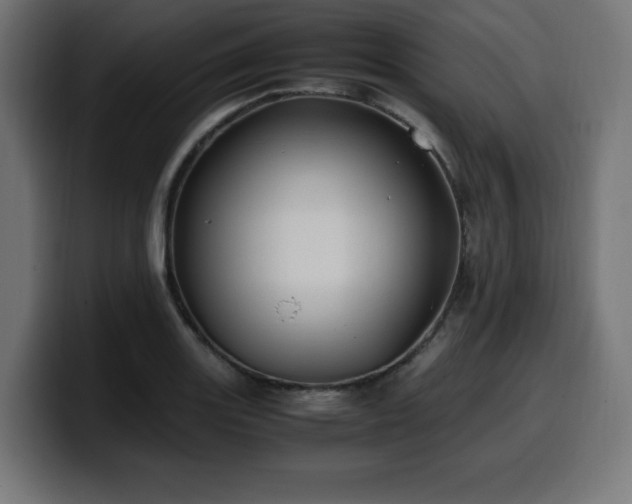 X0000100491131200806131245