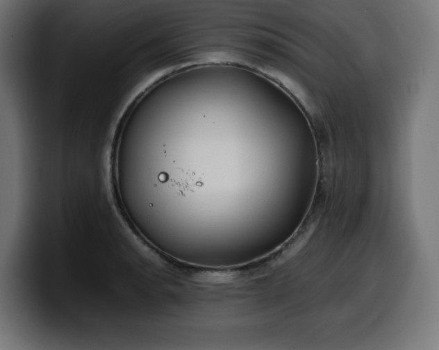 X0000100491134200806131245