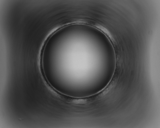 X0000100491135200806131245