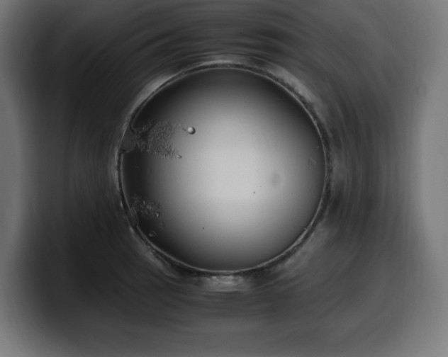 X0000100491137200806131245