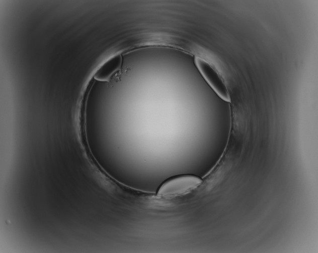 X0000100491138200806131245