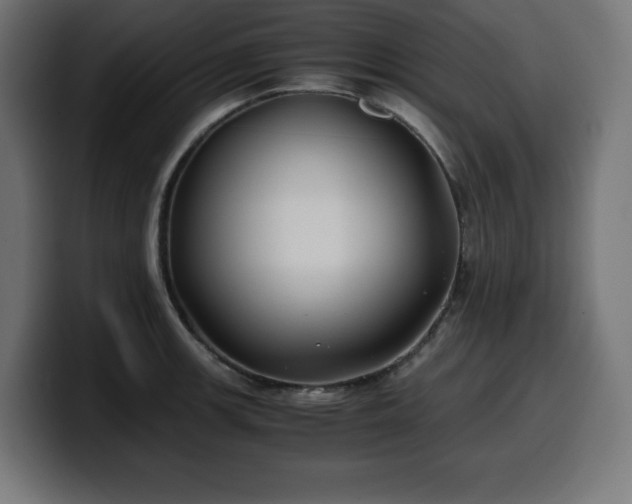 X0000100491139200806131245