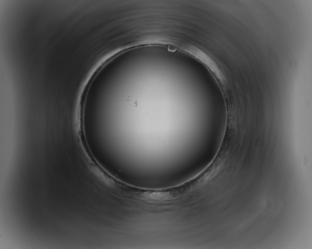 X0000100491140200806131245