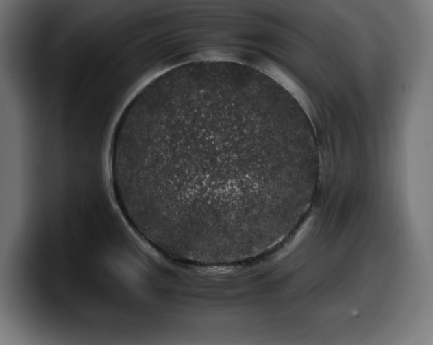 X0000100491141200806131245