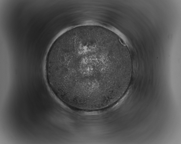 X0000100491142200806131245