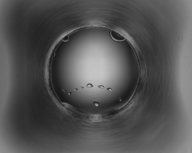 X0000100491144200806131245