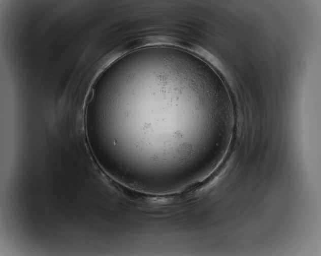 X0000100491145200806131245