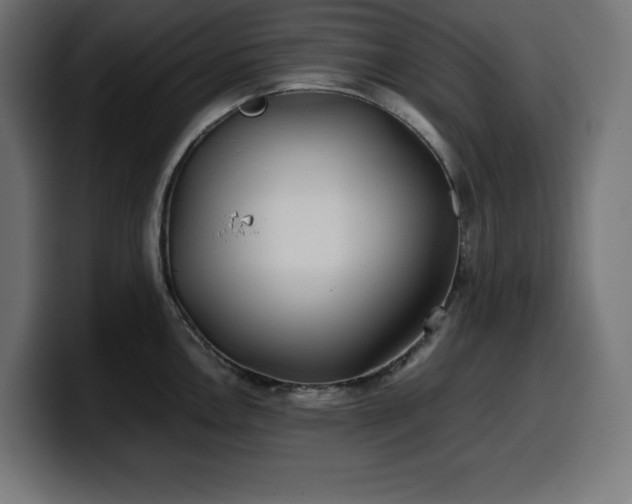 X0000100491146200806131245
