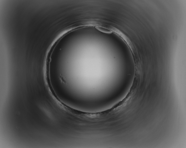 X0000100491147200806131245