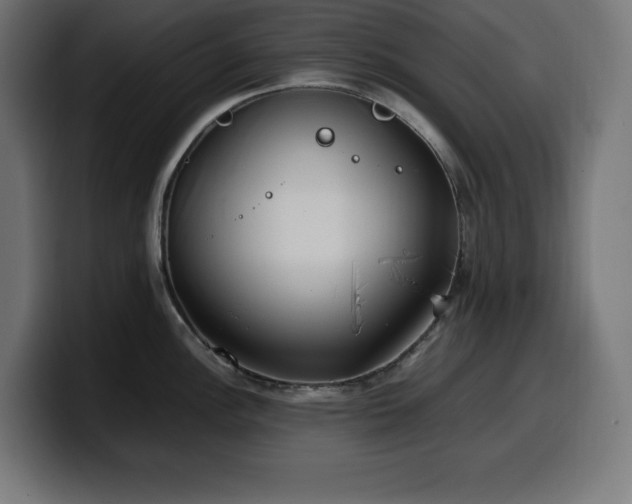 X0000100491148200806131245