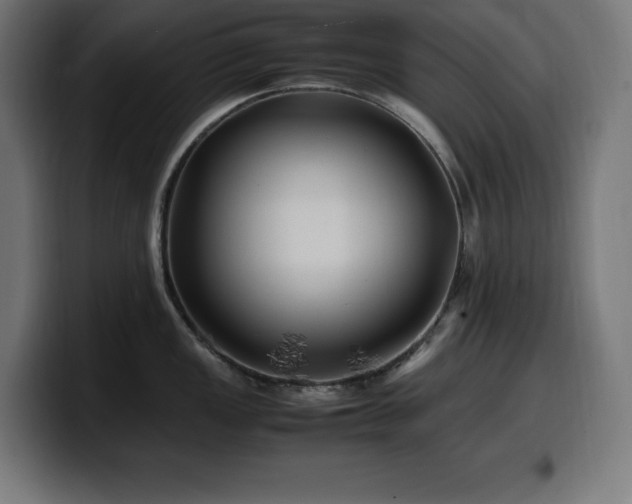 X0000100491149200806131245