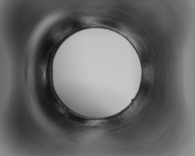 X0000100491150200806131245
