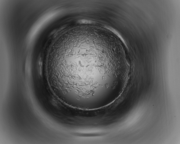 X0000100491151200806131245