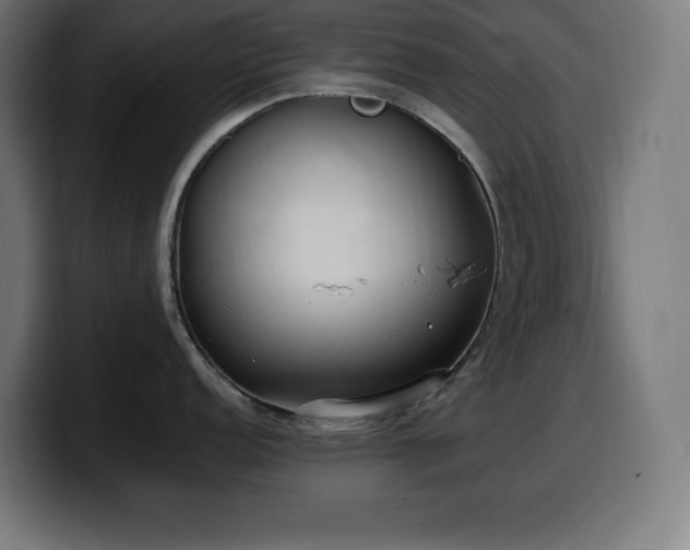 X0000100491152200806131245