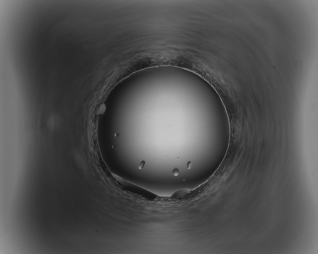 X0000100491153200806131244