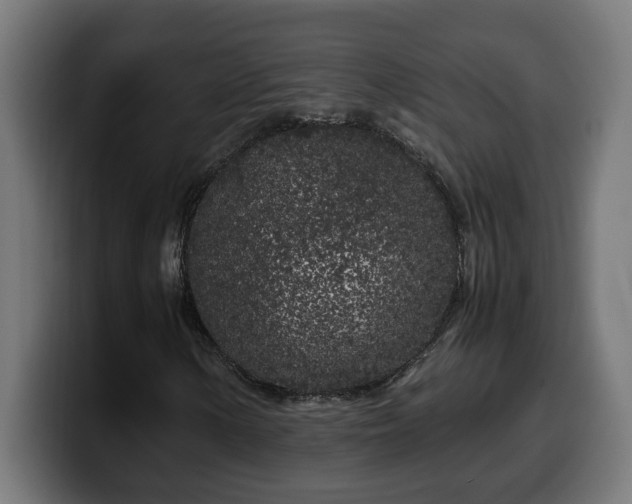 X0000100491154200806131244