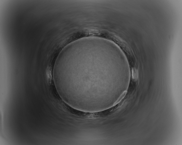 X0000100491155200806131244