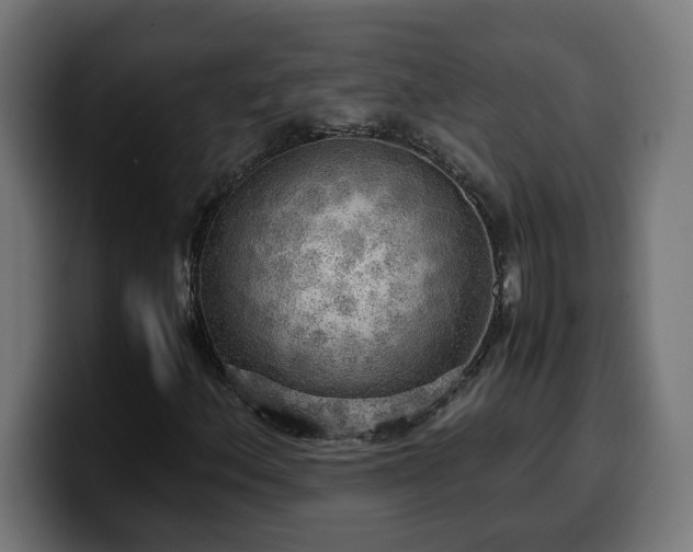 X0000100491156200806131244