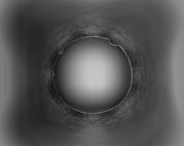 X0000100491157200806131244