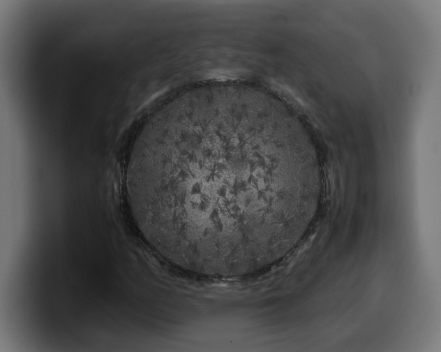 X0000100491158200806131244
