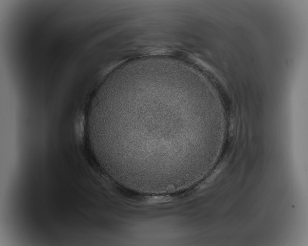 X0000100491161200806131244
