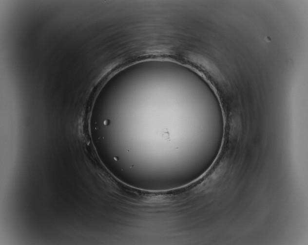X0000100491162200806131244
