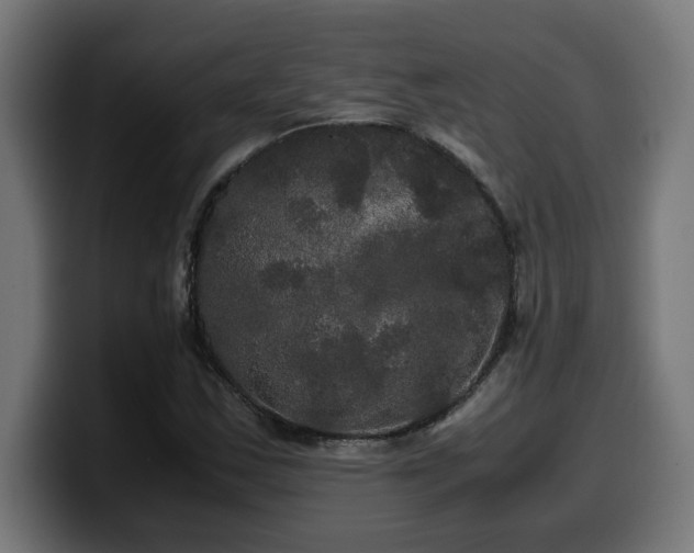 X0000100491163200806131244