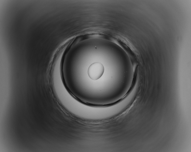X0000100491164200806131244