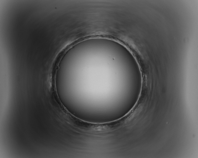 X0000100491165200806131244