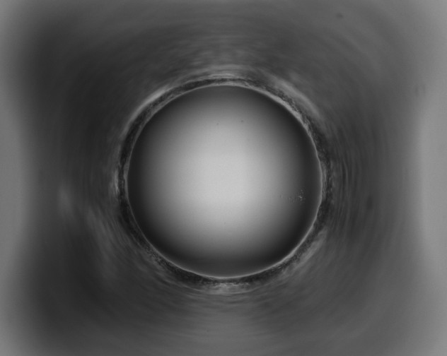 X0000100491166200806131244