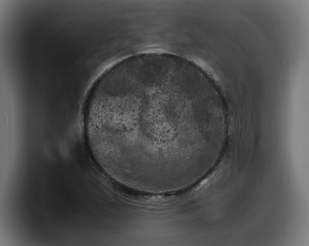 X0000100491167200806131244
