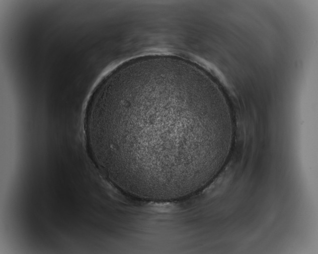 X0000100491168200806131244