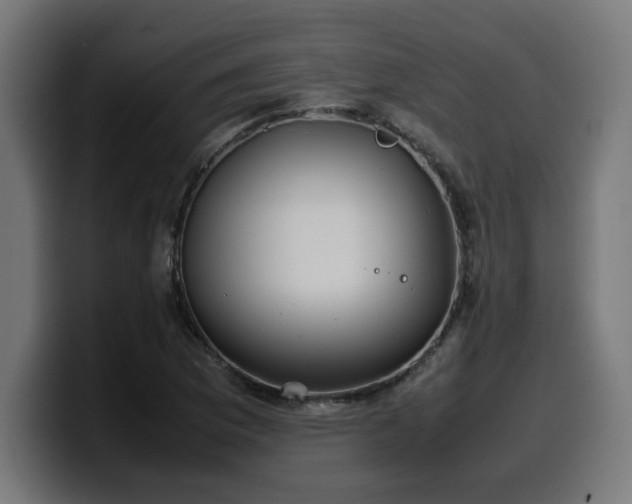 X0000100491169200806131244