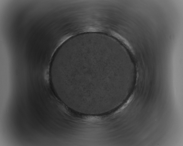 X0000100491170200806131244