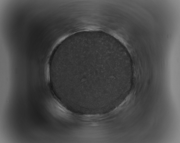 X0000100491171200806131244