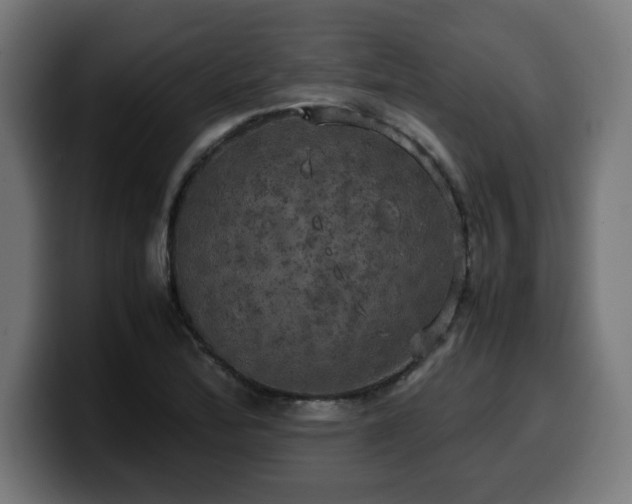 X0000100491172200806131244