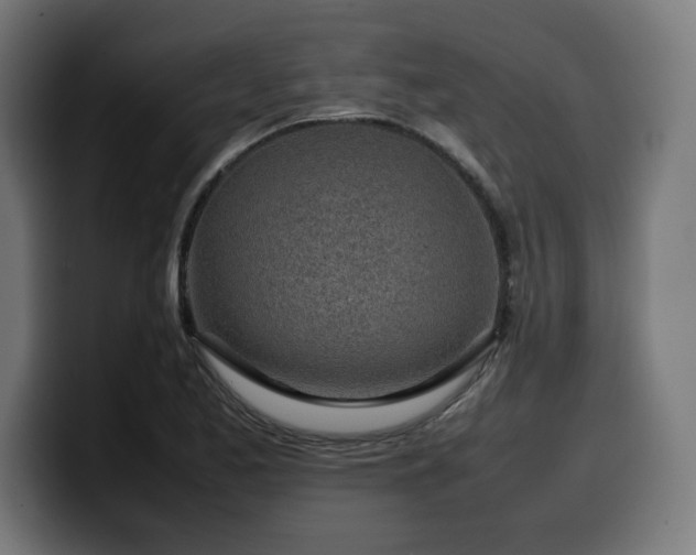 X0000100491173200806131244