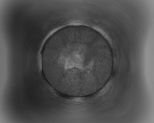 X0000100491175200806131244