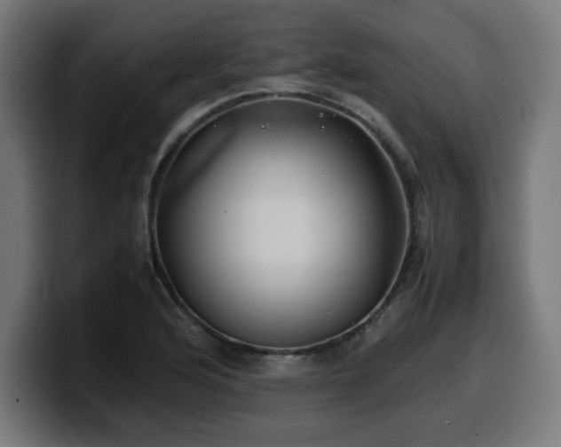 X0000100491176200806131244