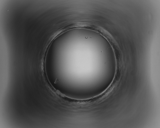 X0000100491177200806131244