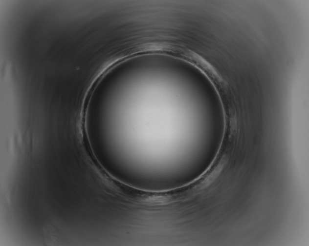 X0000100491178200806131244
